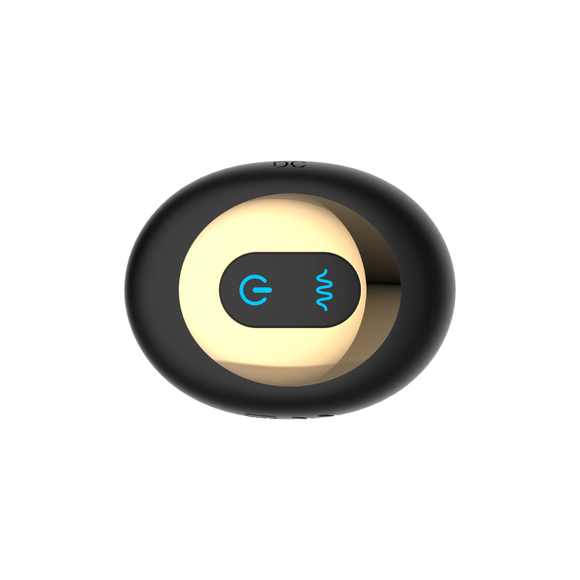 The Spin Rotating Anal Plug with Wireless Remote Control